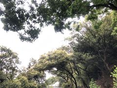 -广州市白云山风景名胜区
