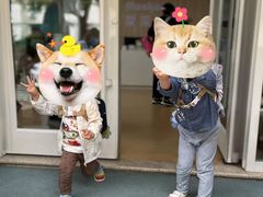 -蒙蒙狮蒙台梭利儿童之家