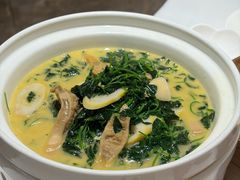 山芽菜烧河蚌-全聚德(领城国际店)