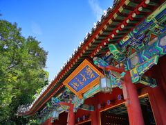 -北京大学-学五食堂