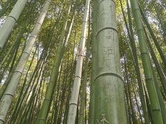 -汇龙潭