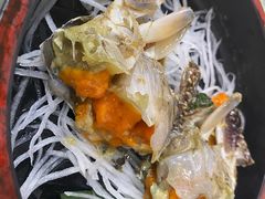 -渔娘渔家丹东海鲜(东直门店)