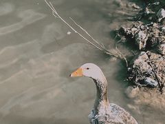 -鄂尔多斯野生动物园