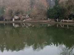 -环城公园-琥珀潭