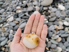 -七星潭蓝天广场