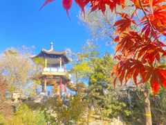 -莲花池公园