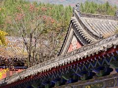 -青龙山生态文化旅游区(慈云寺)