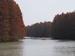 -上海海湾国家森林公园