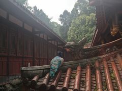 -都江堰普照寺