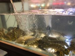 -泰华海鲜中餐厅(普吉镇店)