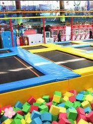 -爱丽丝奇幻乐园