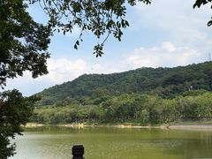 -凤岗南门山森林公园