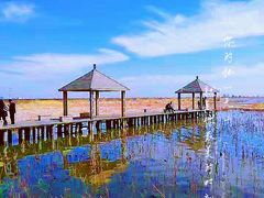 -哈素海