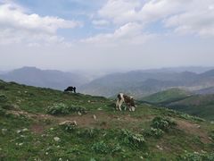 -灵山