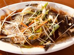 清蒸龙胆鱼-鸿旺海鲜楼(平潭流水店)