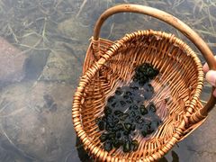 -白塘生态植物园