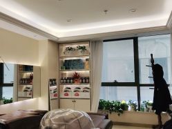 -碧莲盛·不剃发植发