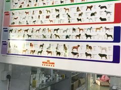 -成都民大动物医院