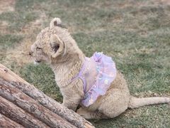 -鄂尔多斯野生动物园