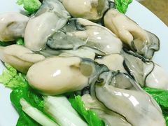 -金砂阿洲鱼册店