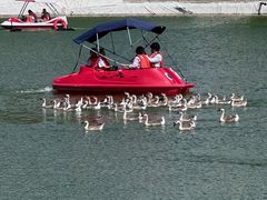 -水上乐园·欢乐世界