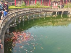 -茂陵博物馆