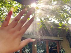 -Chom Cafe and Restaurant