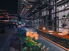 -淮香国色·淮扬菜(正大中心店)