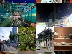 -烟台市博物馆