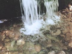 -青峰峡国家森林公园