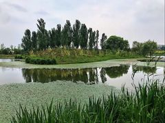 -东郊湿地公园