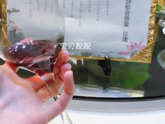 -诺莱仕游艇会