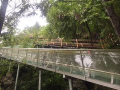 -佛爷洞旅游景区