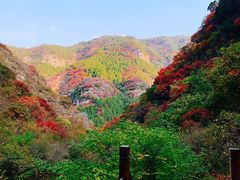 -黄花溪