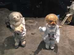 -济州岛泰迪熊博物馆