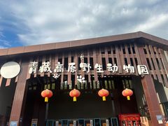 -青藏高原野生动物园