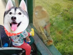 -西安秦岭野生动物园