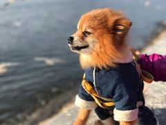 -昆明滇池国家级风景名胜区西山景区