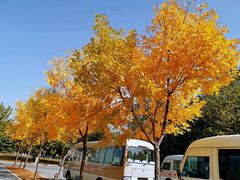 -鲜芋仙Meet Fresh(壹方城店)