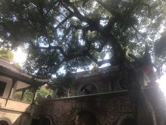 -蒋氏故居