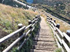 -涉地可支