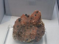 -湖南省地质博物馆