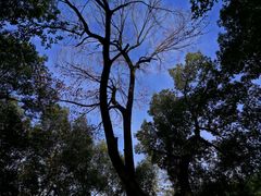 -石燕湖生态旅游景区