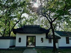 -上海佘山国家森林公园天马山园