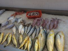 -渔中舟海鲜大排档(普陀沈家门店)