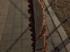 -钓鱼岛洗浴休闲会馆(卫星路店)