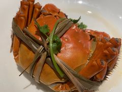-新梅华餐厅(星悦汇店)