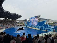 -海合安武汉极地海洋公园
