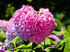 -常州古运河南大街文化旅游区-人民公园