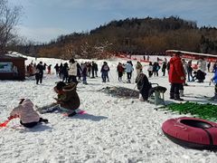 -南翠屏公园